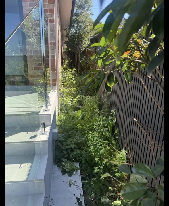 Overgrown side garden cleared to the stepping stones before